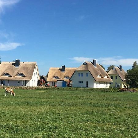Reetdachhaeuser Boergerende المظهر الخارجي الصورة
