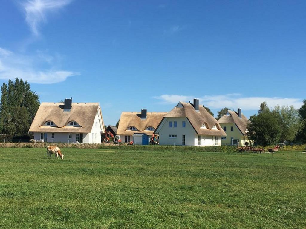 Reetdachhaeuser Boergerende المظهر الخارجي الصورة